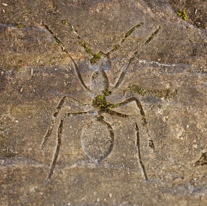 Ecology Stones