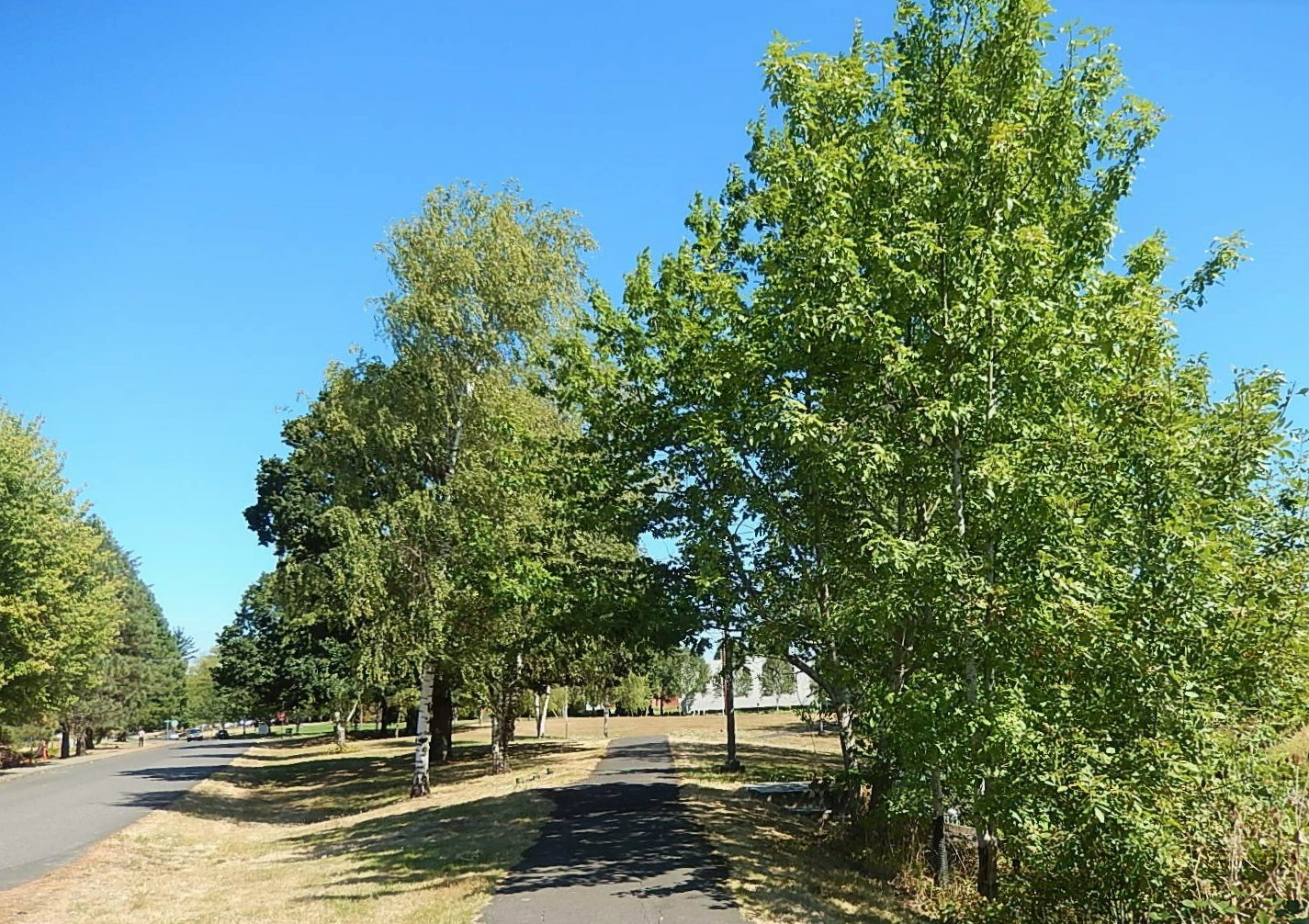 Beaverton Creek Trail Earns Metro Funding and begins final planning stages