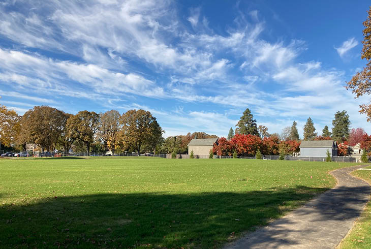 Open feild with pathway